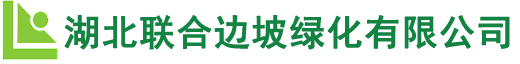 藝術(shù)涂料加盟_進(jìn)口藝術(shù)涂料_藝術(shù)涂料品牌代理